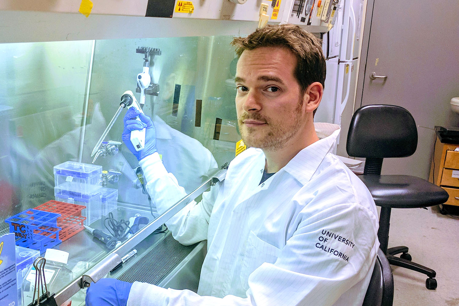 Rutger D. Luteijn, Ph.D., a CRI Postdoctoral Fellow in the lab of David H. Raulet, Ph.D., at the University of California, Berkeley, is studying how STING-related molecular pathways involved in immune system activation contribute to cell senescence in the context of DNA damage leading to age-related diseases including cancer.