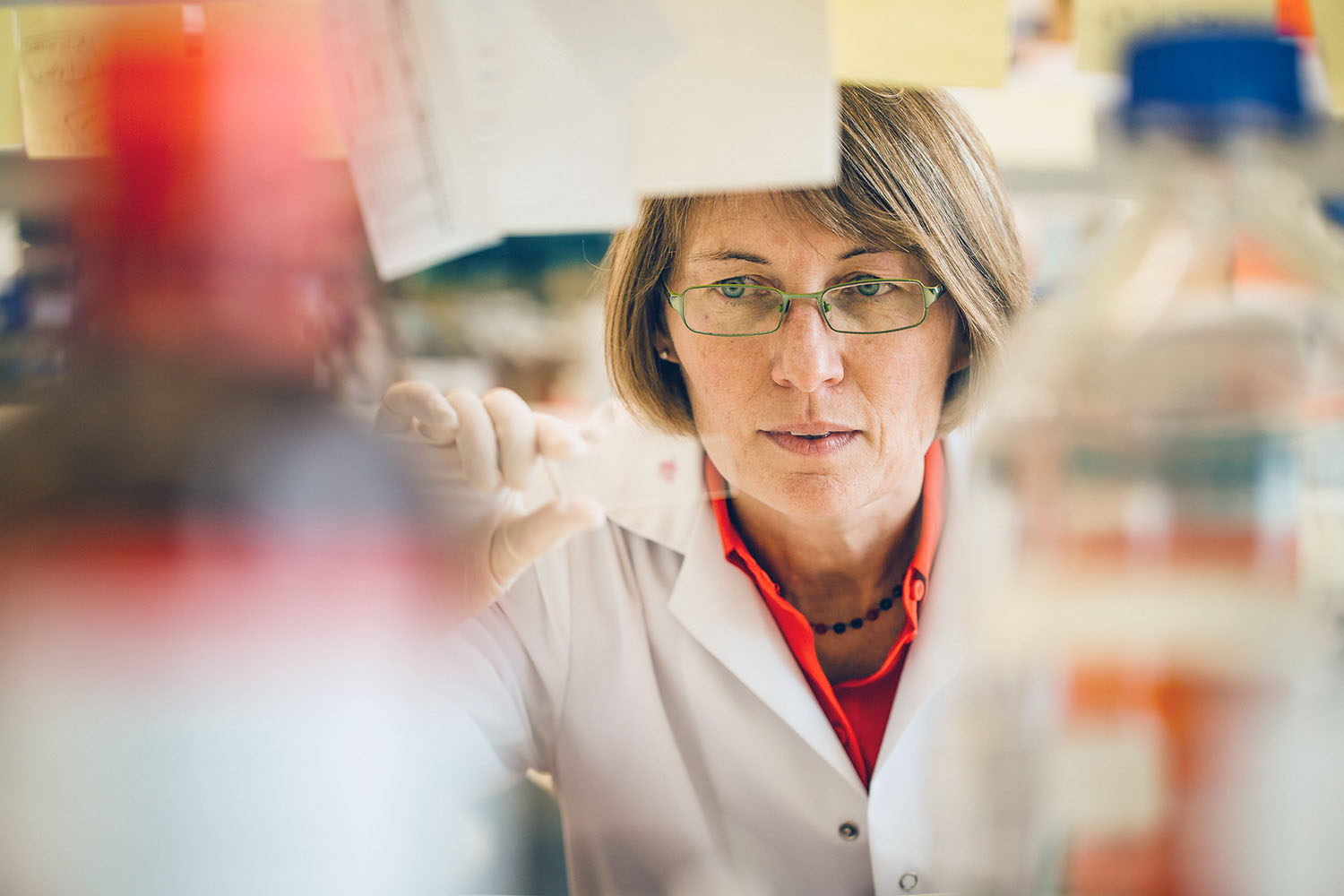 Ruth Ganss, Ph.D., a CRI CLIP Investigator at the Harry Perkins Institute of Medical Research in Australia, is using LIGHT-VTP therapy she developed that restores immune cell infiltration via tumor blood vessels in order to enhance patient responses to treatment with immunotherapy.